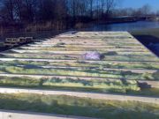 1414261967_156779531104826